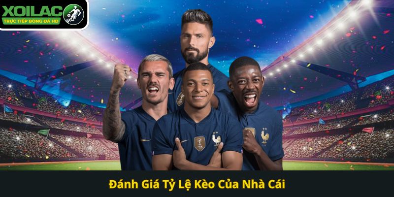 Đánh Giá Tỷ Lệ Kèo Của Nhà Cái