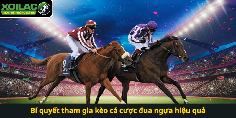 Bí quyết tham gia kèo cá cược đua ngựa hiệu quả